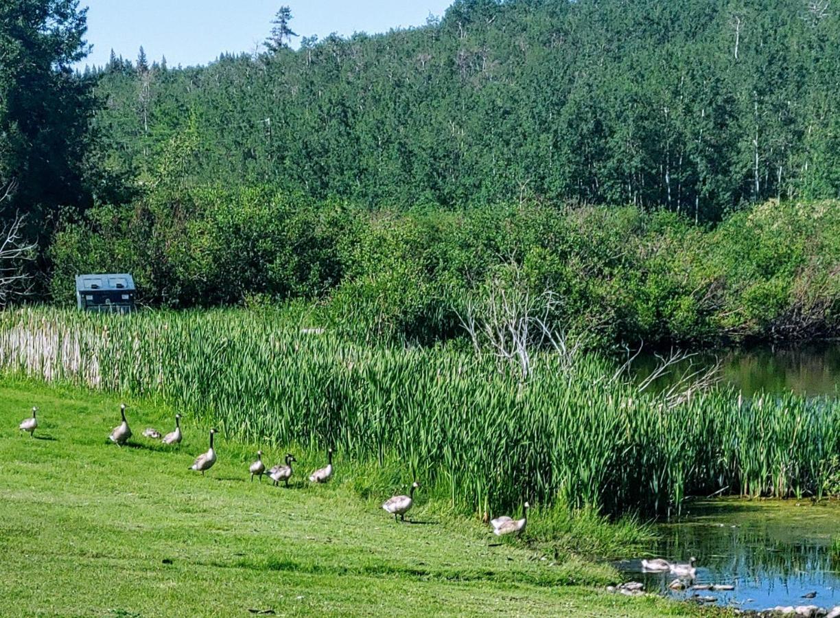 Duck Lake Lodge Babb Eksteriør billede